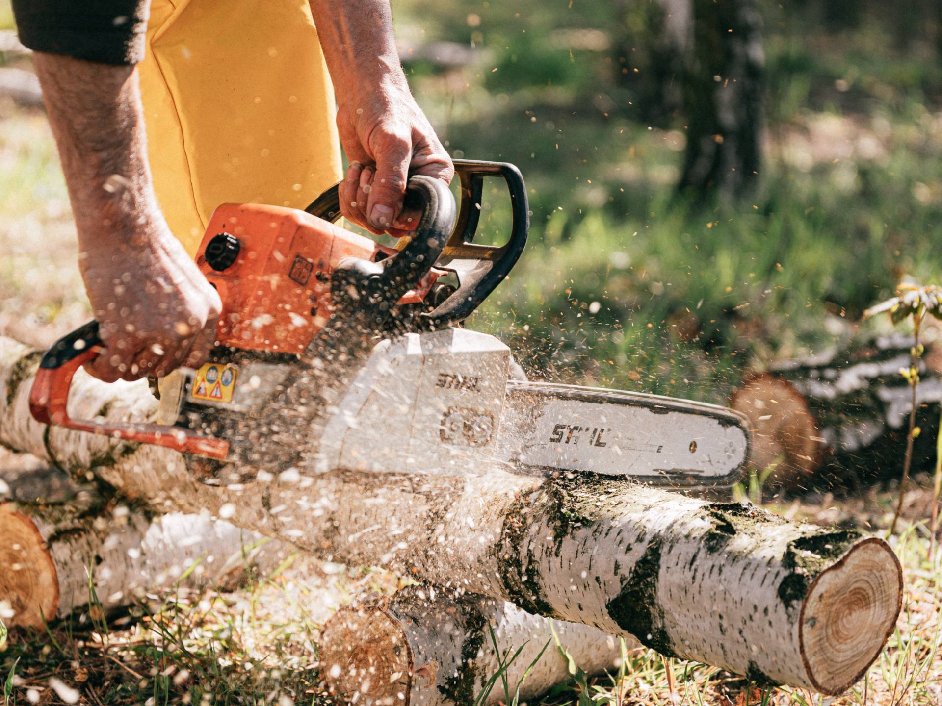 Tree Service Pelham Tree Removal, Tree Trimming, Emergency Tree