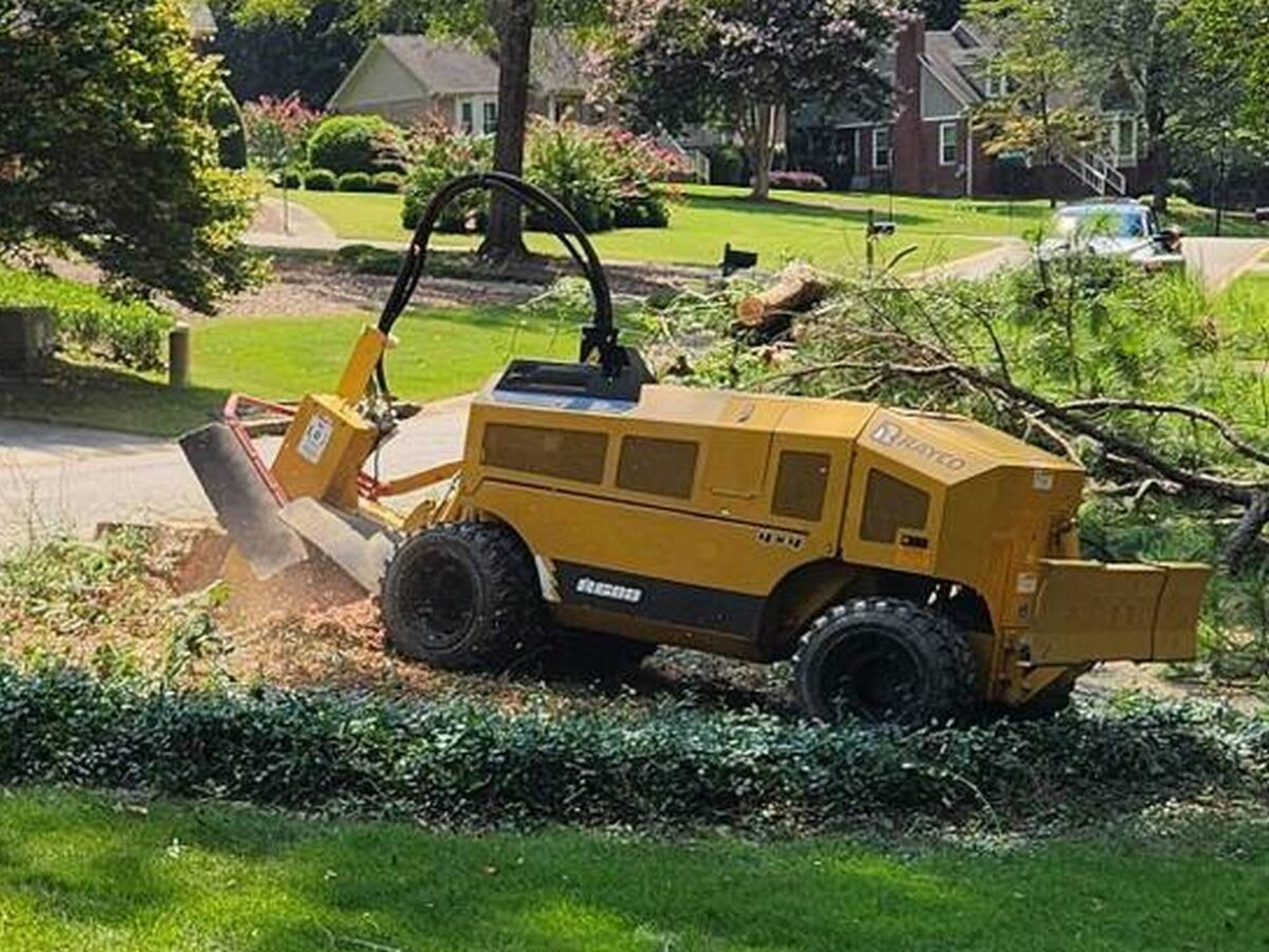 Stump Grinding Service Near Birmingham Pro Stump Removal