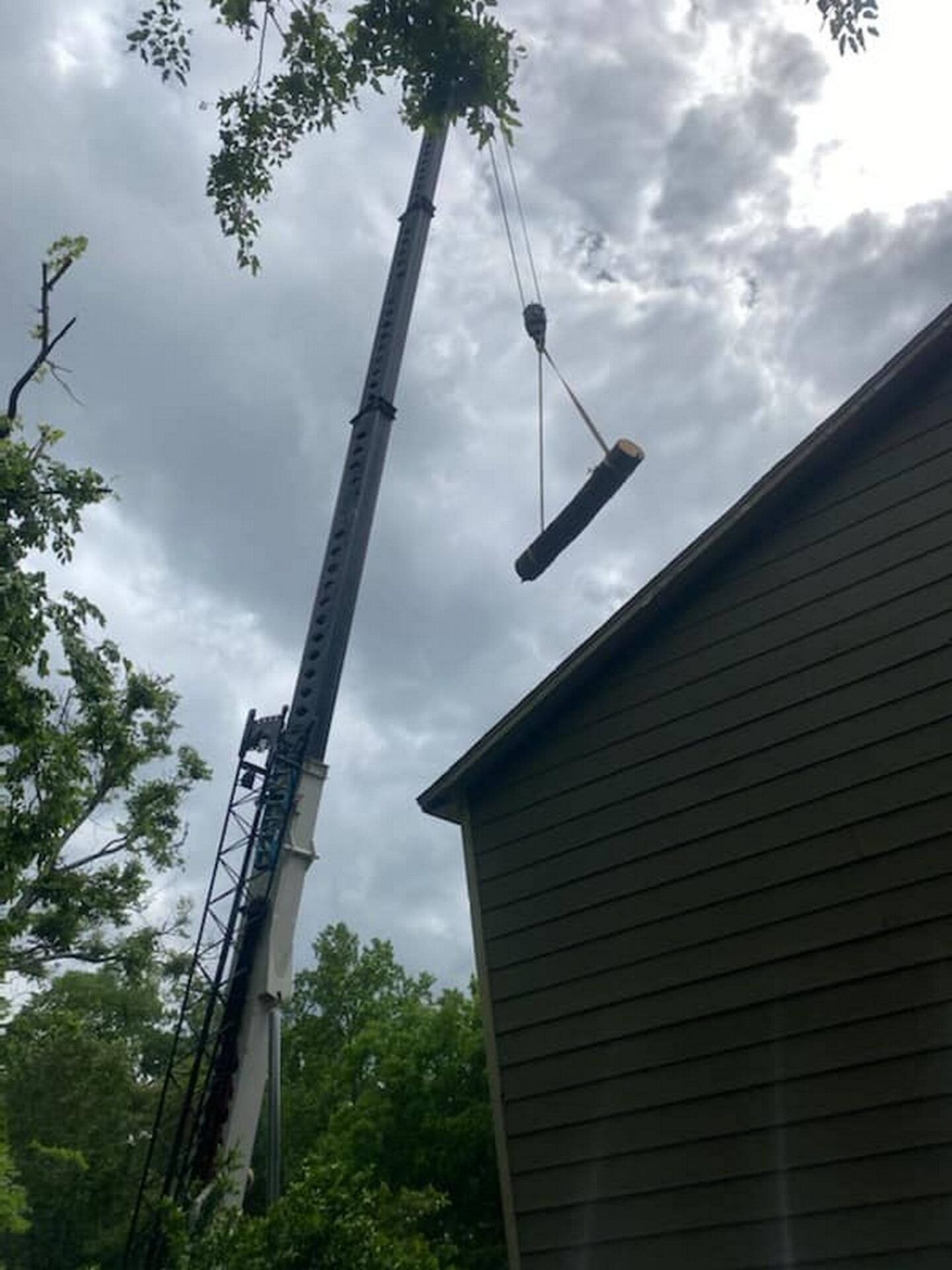 Tree Services In Central Alabama Shelby County & Jefferson County