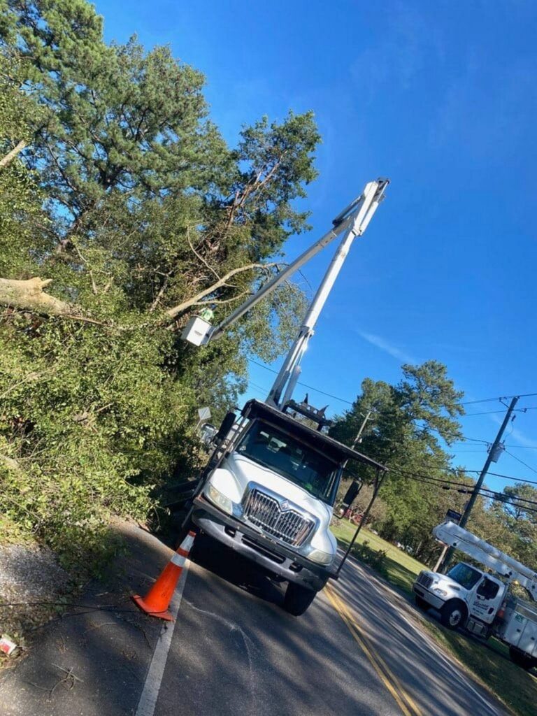Tree Service - Emergency Storm Response Clean-Up - Vestavia Hills Alabama - Myers Tree Service